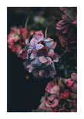 Fleurs fan&eacute;es pour un doux adieu